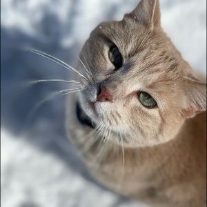 Meet your Posher, Cynthia